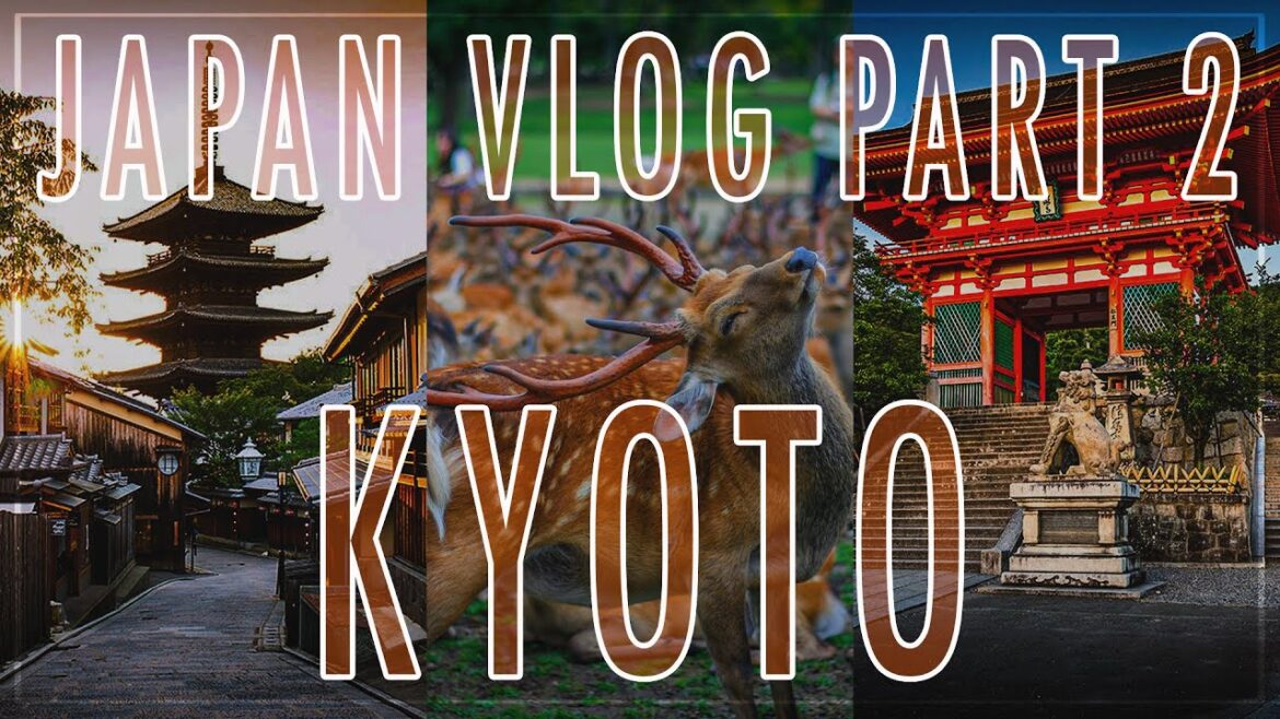 Japan Vlog: KYOTO | 5 Days Itinerary In Kyoto | First Time Exploring Kyoto | Japan Diaries