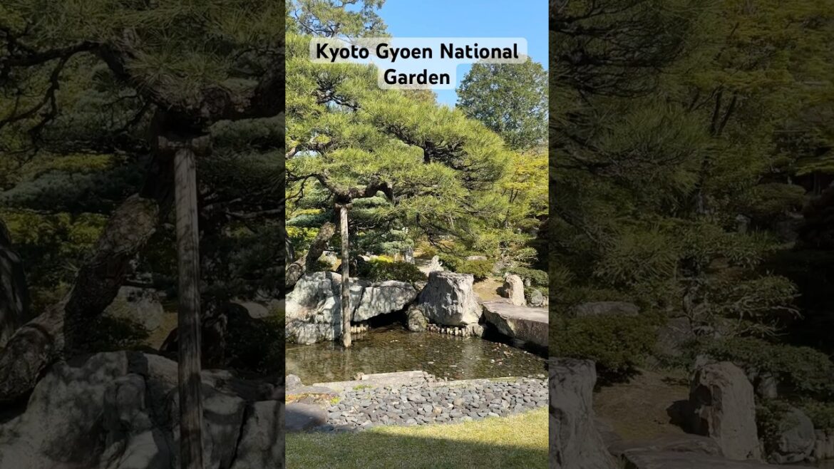 Kyoto Gyoen National Garden 🌳