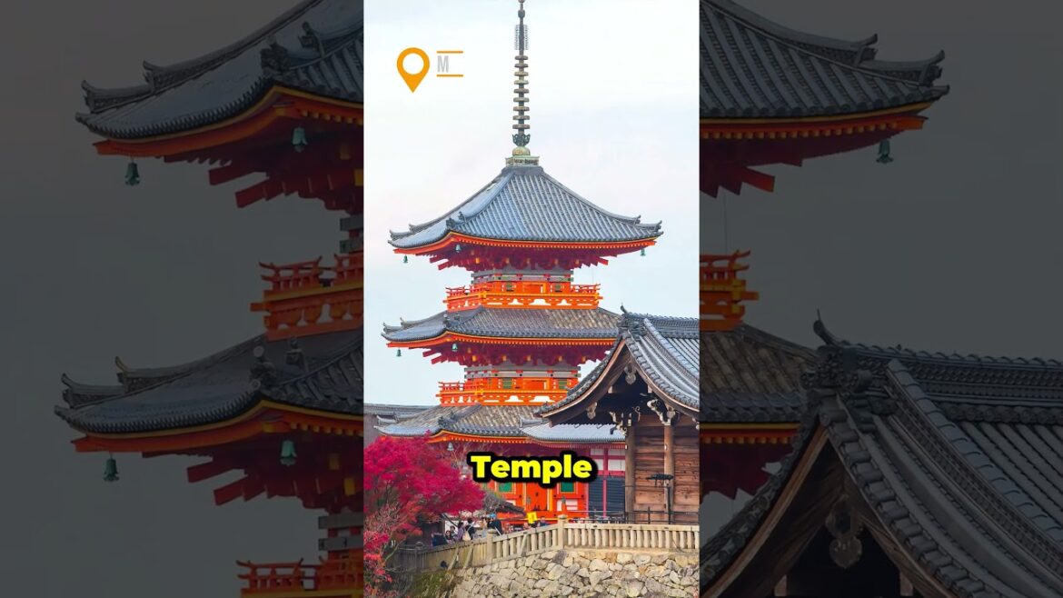 japan - hiroshima - hondorı shoppıng street I 4K I #shorts #travel #hiroshima #japan