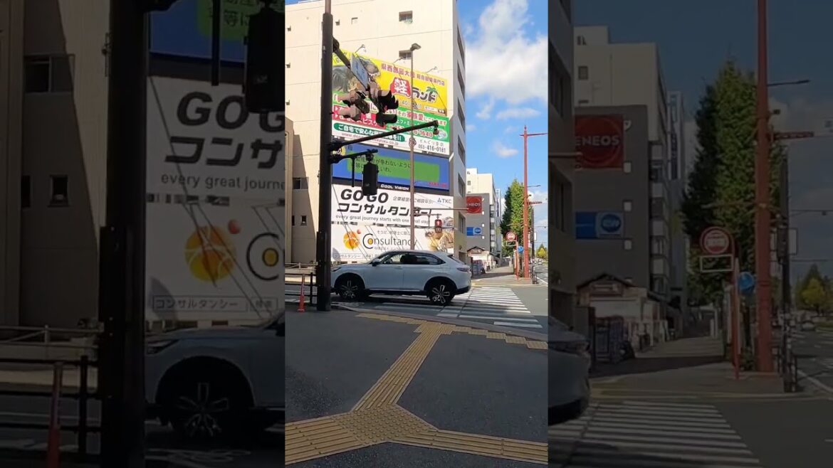 浜松駅周辺を散歩 / Hamamatsu Walk