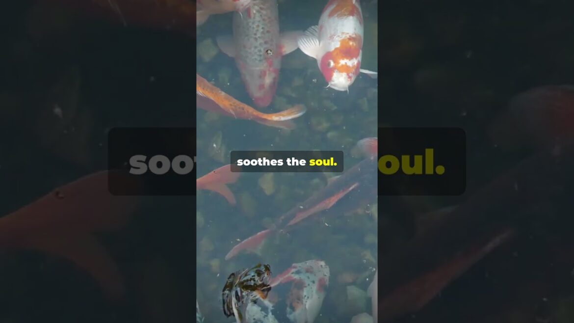 🏯 Okayama: Majestic Gardens and Castles 🍁🌸 #adventureawaits #traveldestinations #motivation