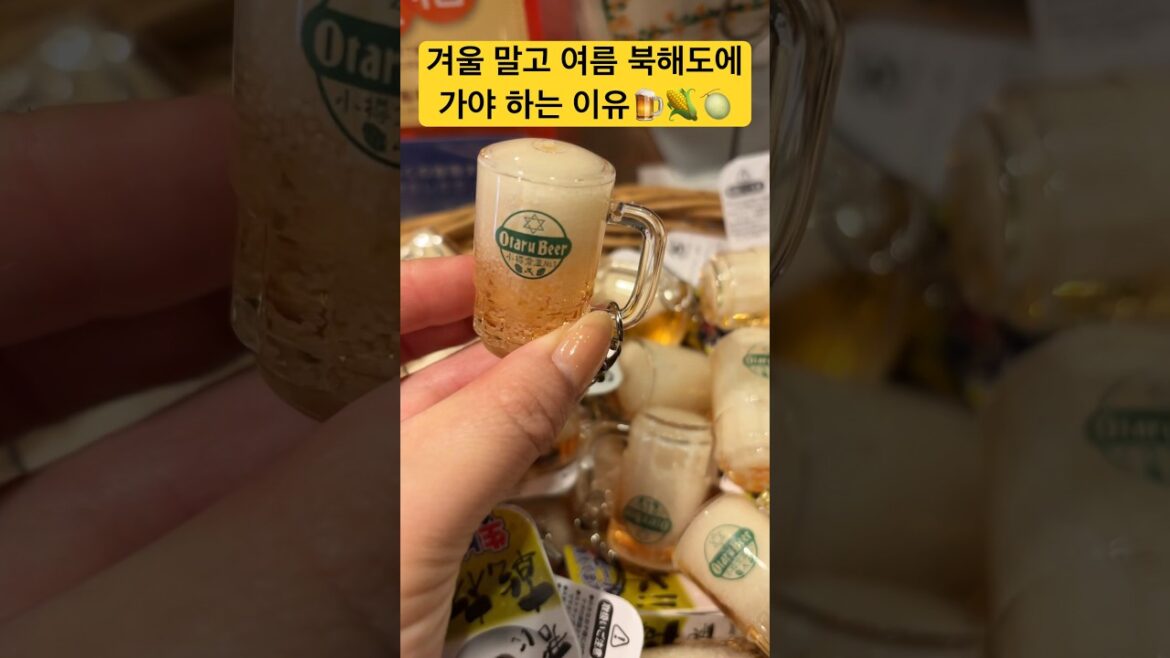 🇯🇵홋카이도 일본인은 여름에 가는 이유 #일본여행 #삿포로