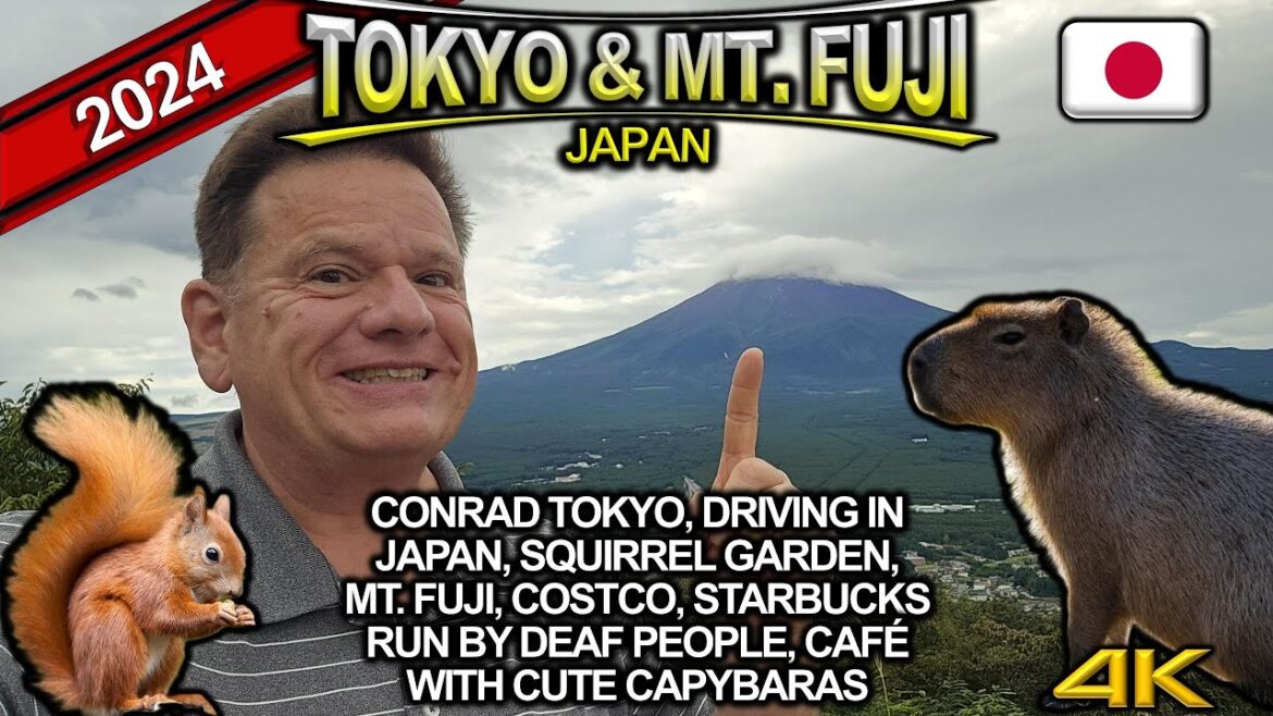Solo Travel Mount Fuji: Driving in Japan, Squirrel Garden, Mount Fuji, and Japanese Costco 2024 Solo Travel Mount Fuji: Driving in Japan, Squirrel Garden, Mount Fuji, and Japanese Costco 2024