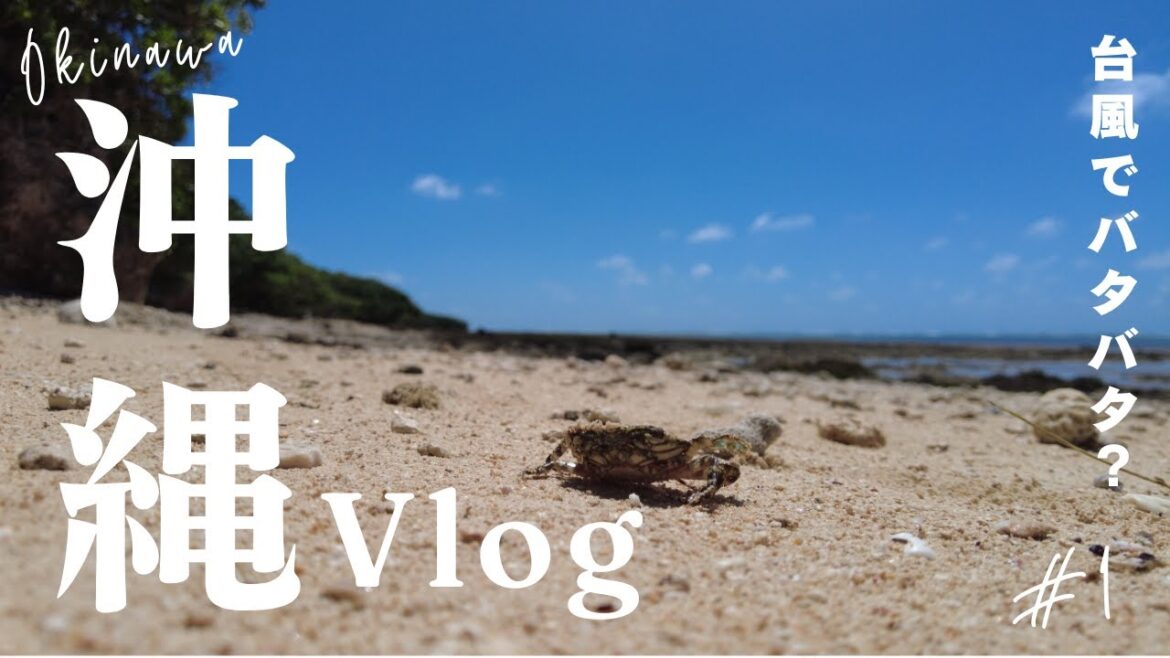 【Vlog】沖縄行ってきた | Japan Travel Vlog to Okinawa 【Vlog】沖縄行ってきた | Japan Travel Vlog to Okinawa