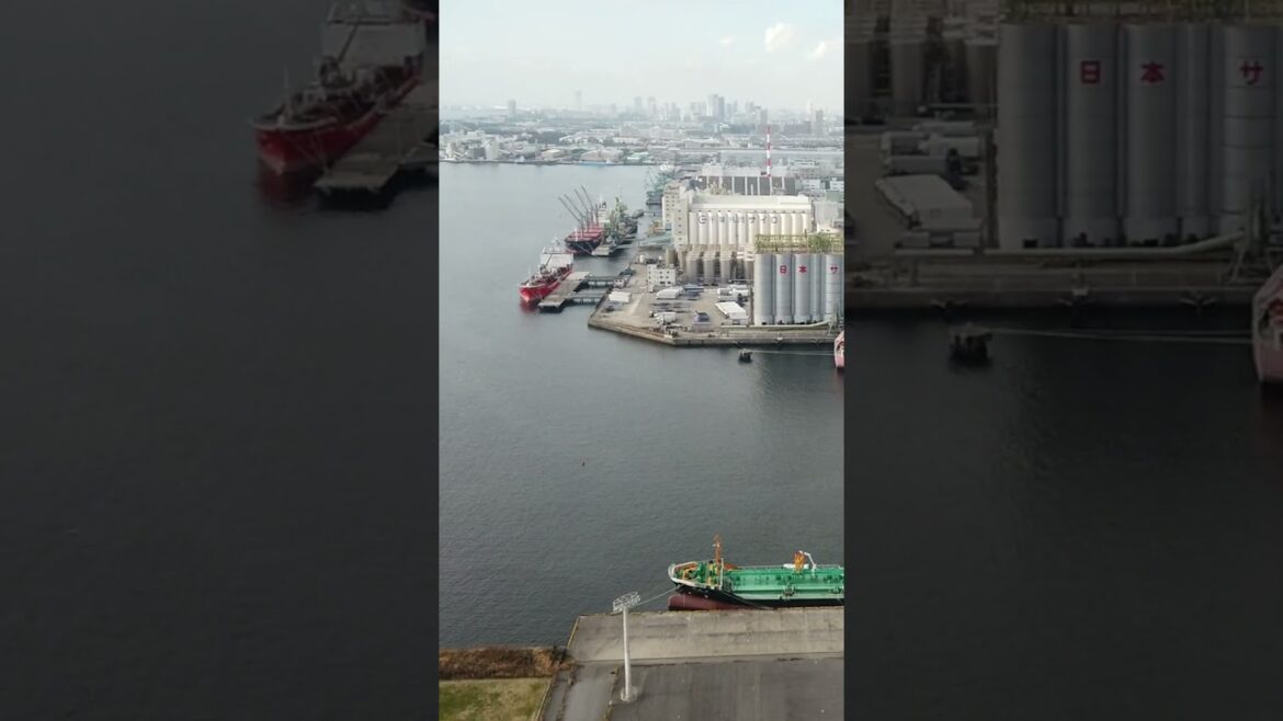 A tower in an industrial city  #traveljapan #chibajapan #cityview A tower in an industrial city  #traveljapan #chibajapan #cityview