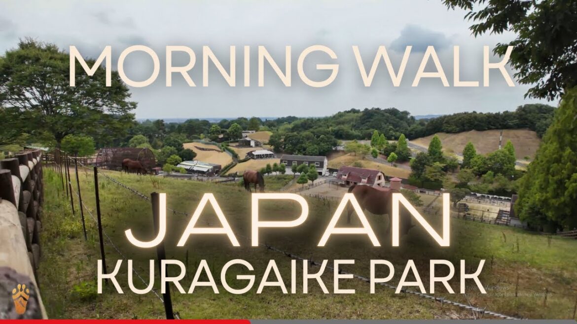 Japan - Morning Walk in Kuragaike Park