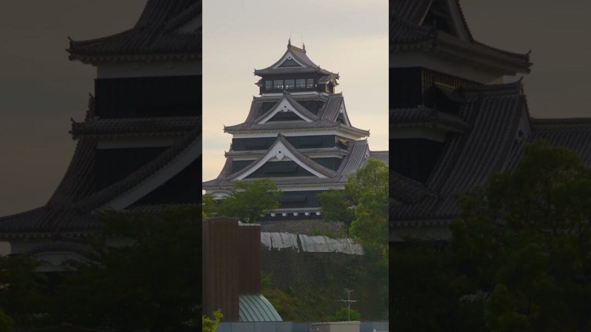 ¡El Castillo de Kumamoto, un lugar con mucha historia!  #japon  #turismoenjapon