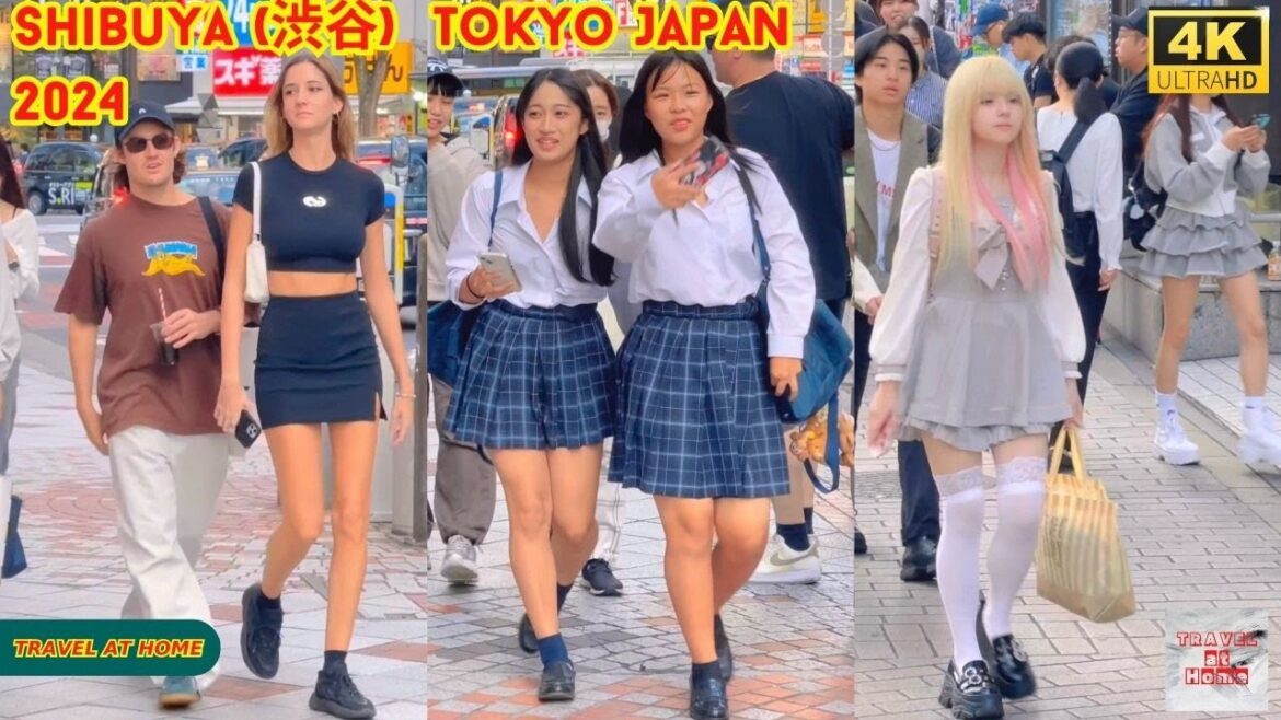 4k hdr Japan travel 2024 | Walk in Shibuya (渋谷) Tokyo Japan |  Relaxing Natural City ambience