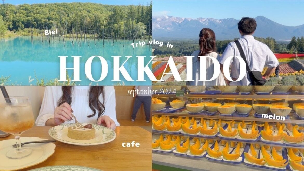 [ Trip vlog ] 5泊6日北海道に新婚旅行🍣🍈🍦 | 札幌•美瑛•富良野グルメと観光 | 1-2日目