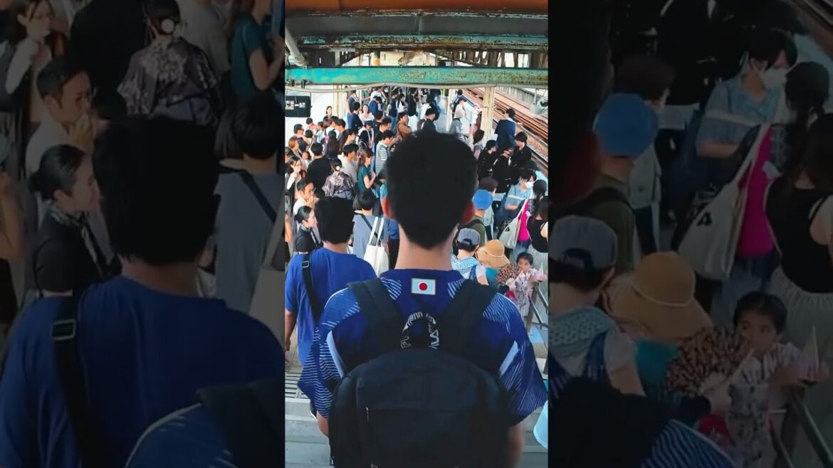 Budaya Mengantri di Jepang 🇯🇵 Tetap Tertib Walau di Keramaian #japan #budayajepang #indonesia