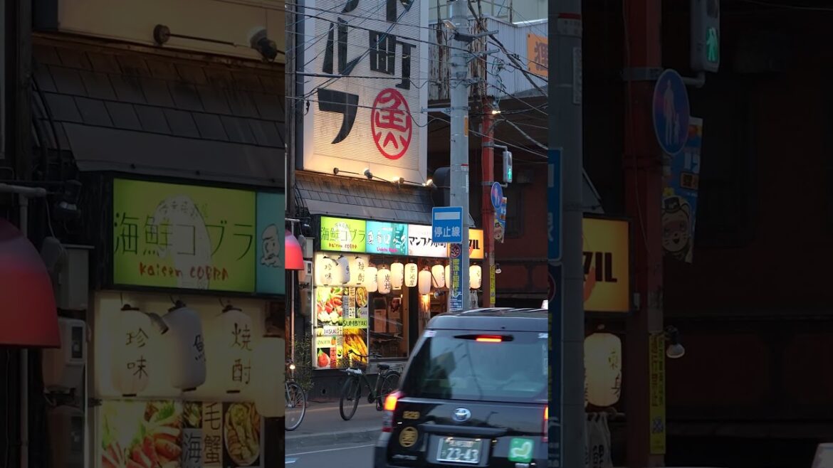 A Walk in Sapporo, Japan