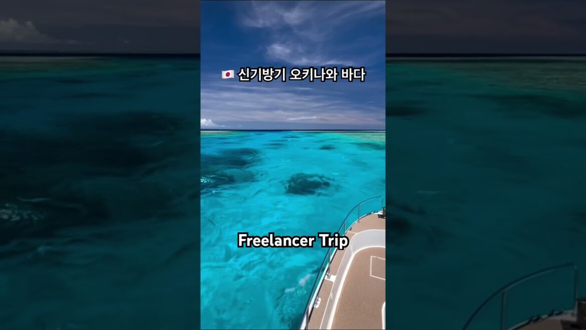 🇯🇵 신기방기 오키나와 바다 #japan #okinawa #일본 #오키나와