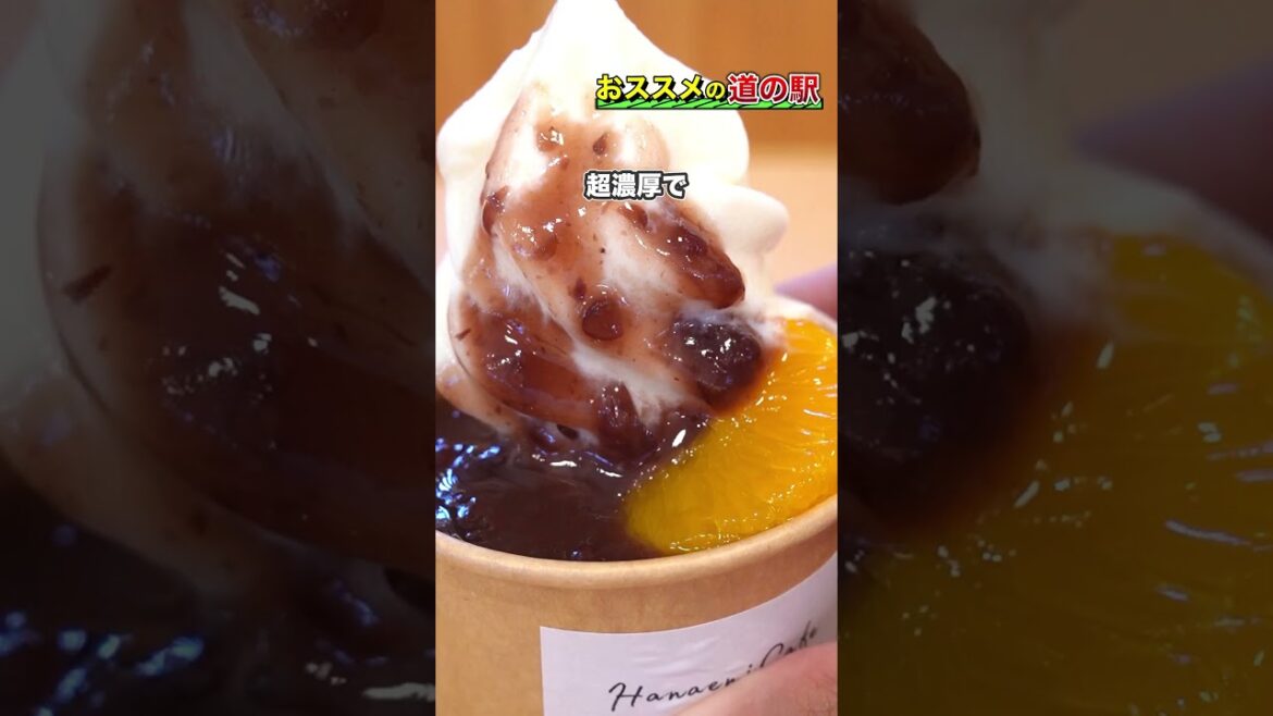 和歌山県岩出市 道の駅ねごろ歴史の丘 #旅行 #和歌山食べ歩き #和歌山カフェ #和歌山グルメ  #カフェ巡り #グルメ #岩出市グルメ 和歌山県岩出市 道の駅ねごろ歴史の丘 #旅行 #和歌山食べ歩き #和歌山カフェ #和歌山グルメ  #カフェ巡り #グルメ #岩出市グルメ