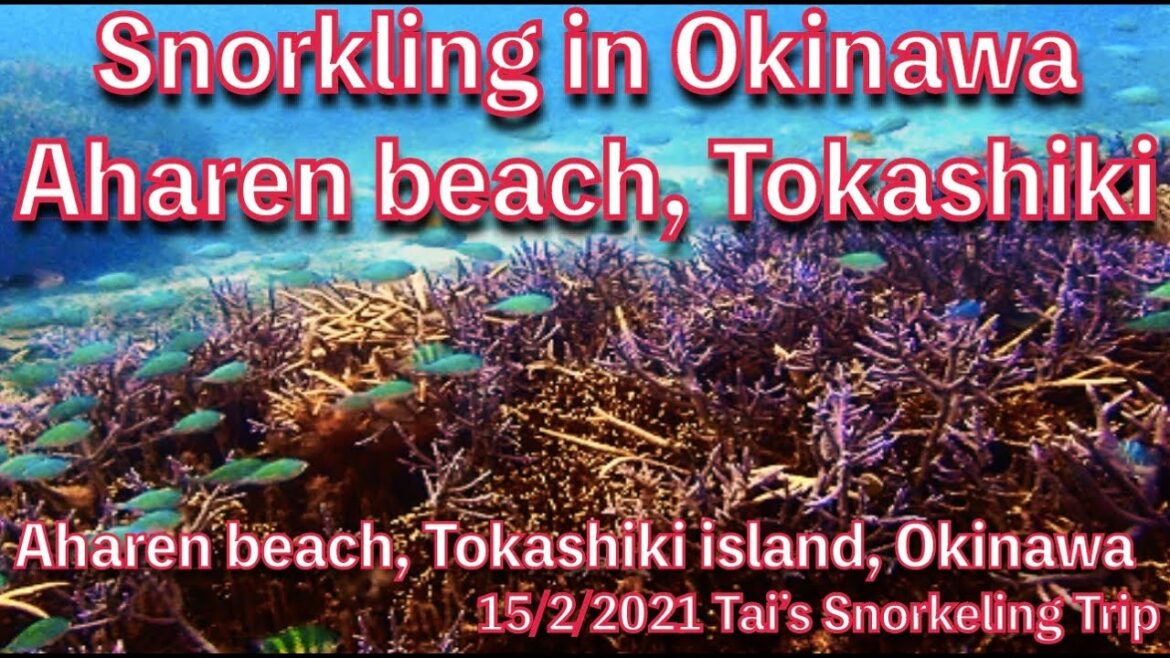 【#19 Tai’s Snorkeling in Qkinawa 】Aharen Beach, Tokashiki island, Okinawa, Japan