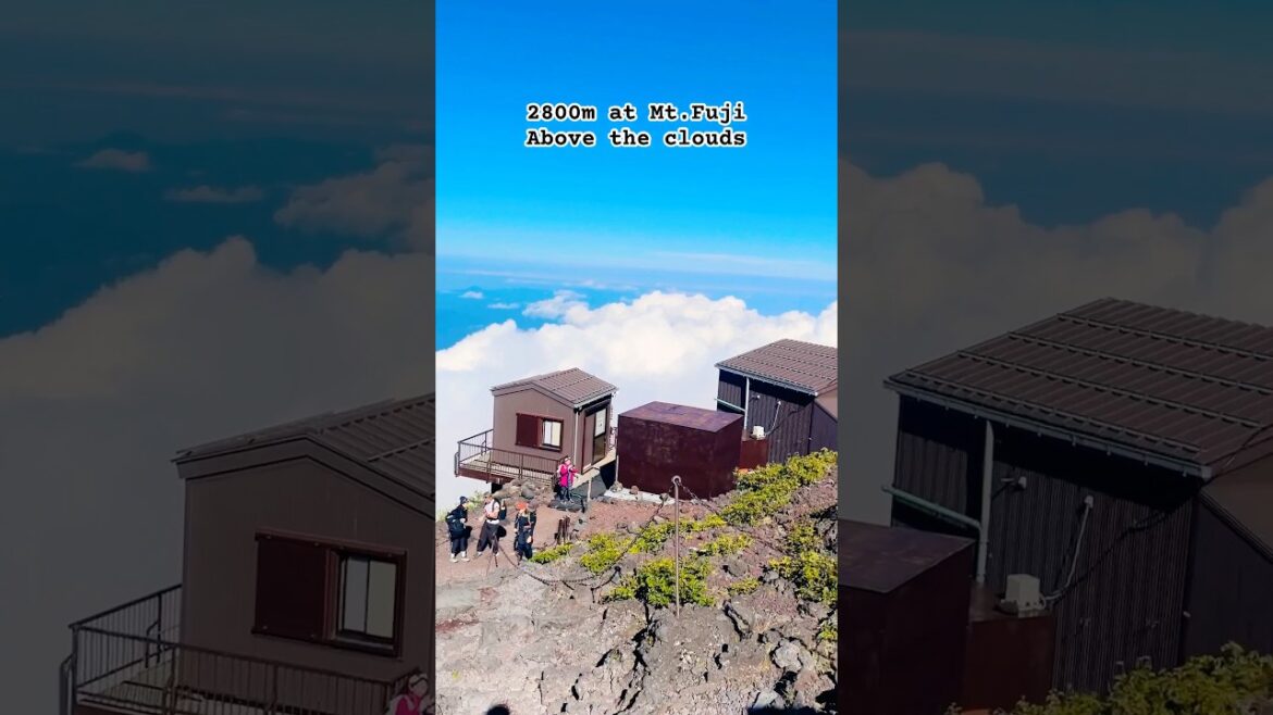Mt. Fuji 🇯🇵 2800m above the sea level and above the clouds feels heaven #fuji #mountains #travel