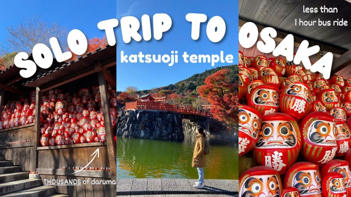 SOLO TRIP TO OSAKA JAPAN