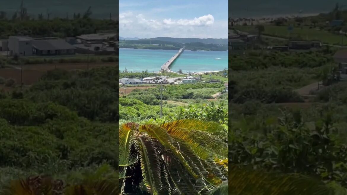 Joy Ride with Amazing View Kouri Island #shorts #travel #tourism