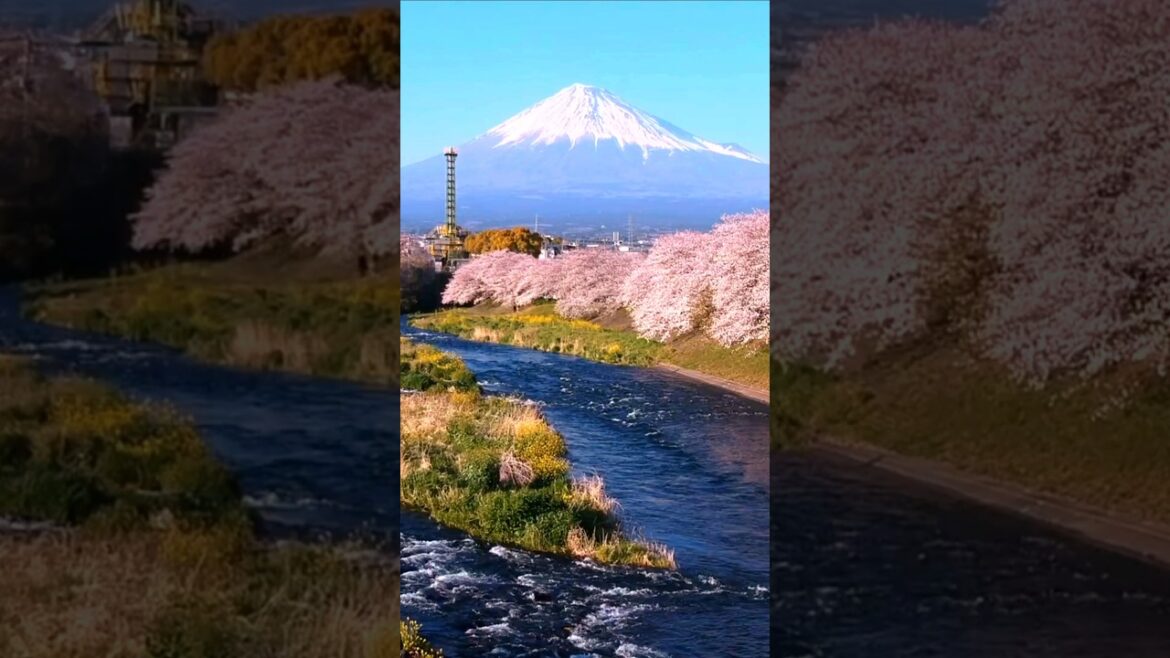 Mount Fuji Is Formed By 3 Stacked Volcanoes? 🗻🌋☄️