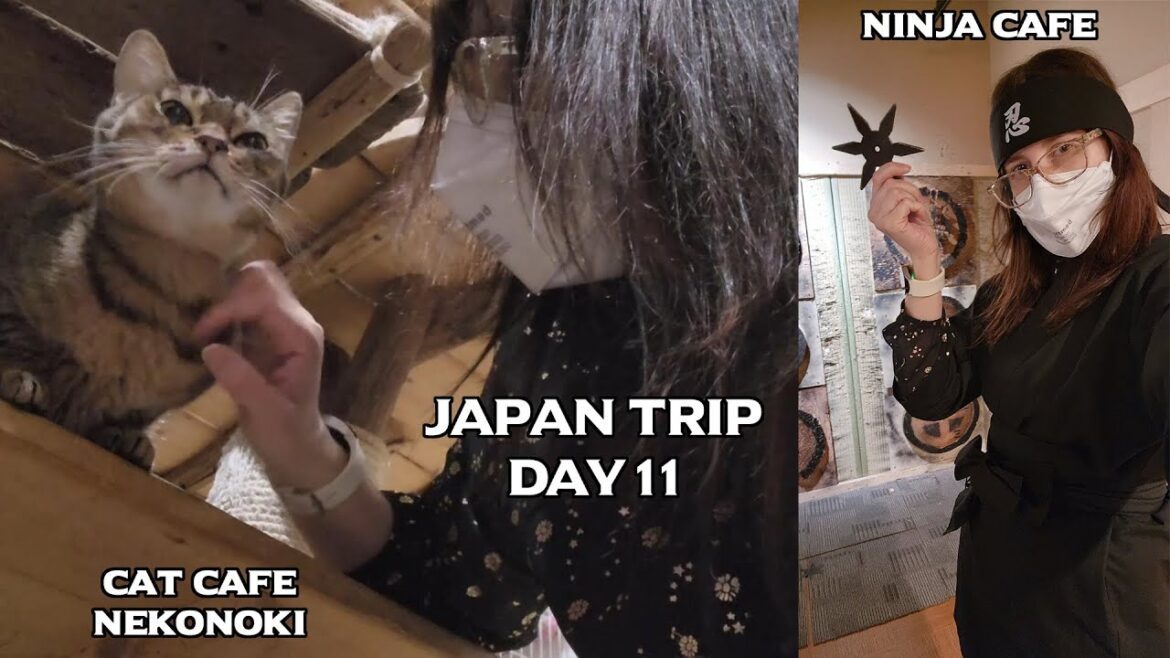 Cats and Ninjas! Just another day in Osaka – Japan Trip – Day 11 Cats and Ninjas! Just another day in Osaka - Japan Trip - Day 11