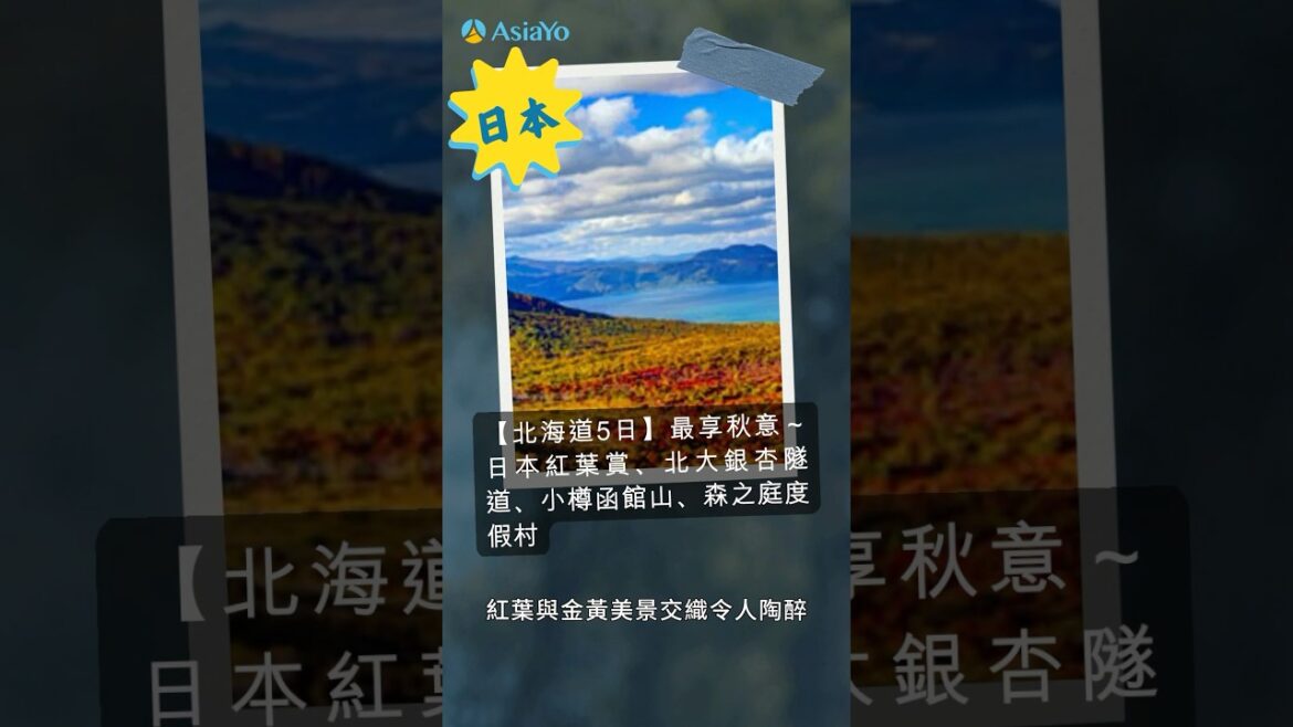 北海道5日紅葉賞🍁 一次享受登別/洞爺湖溫泉浴、函館百萬夜景#訂跟團旅遊上AsiaYo#跟團#日本跟團#北海道跟團