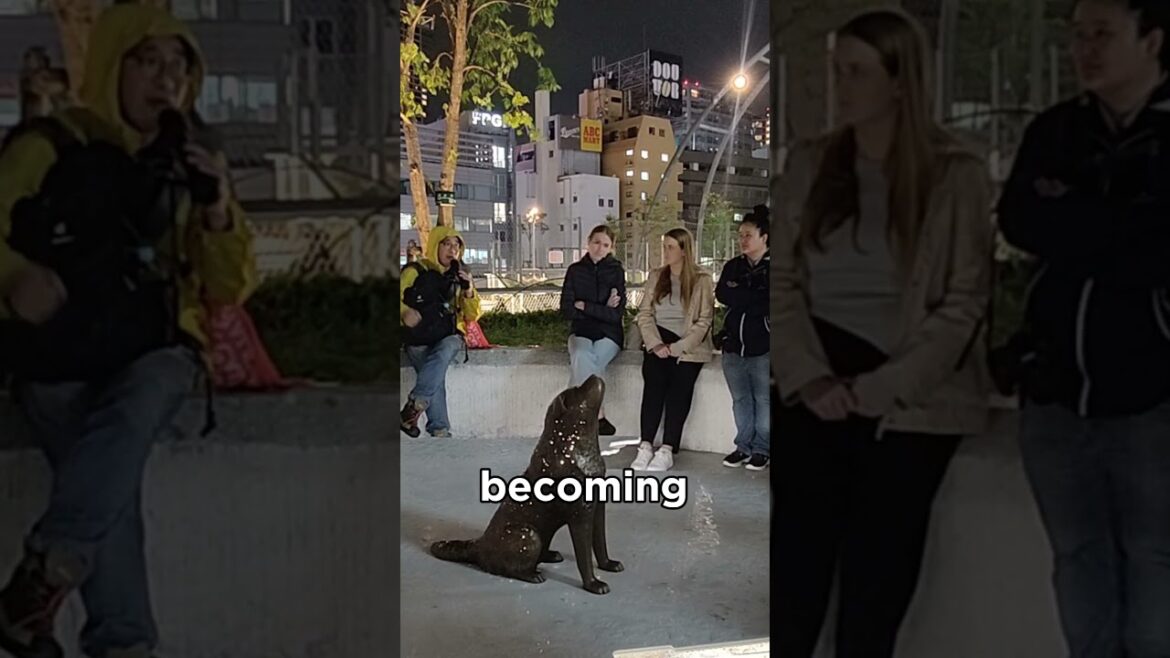 You Must've Heard of Hachiko, Right? | Shibuya, Tokyo, Japan #hachiko #shibuya #tokyotravel #japan