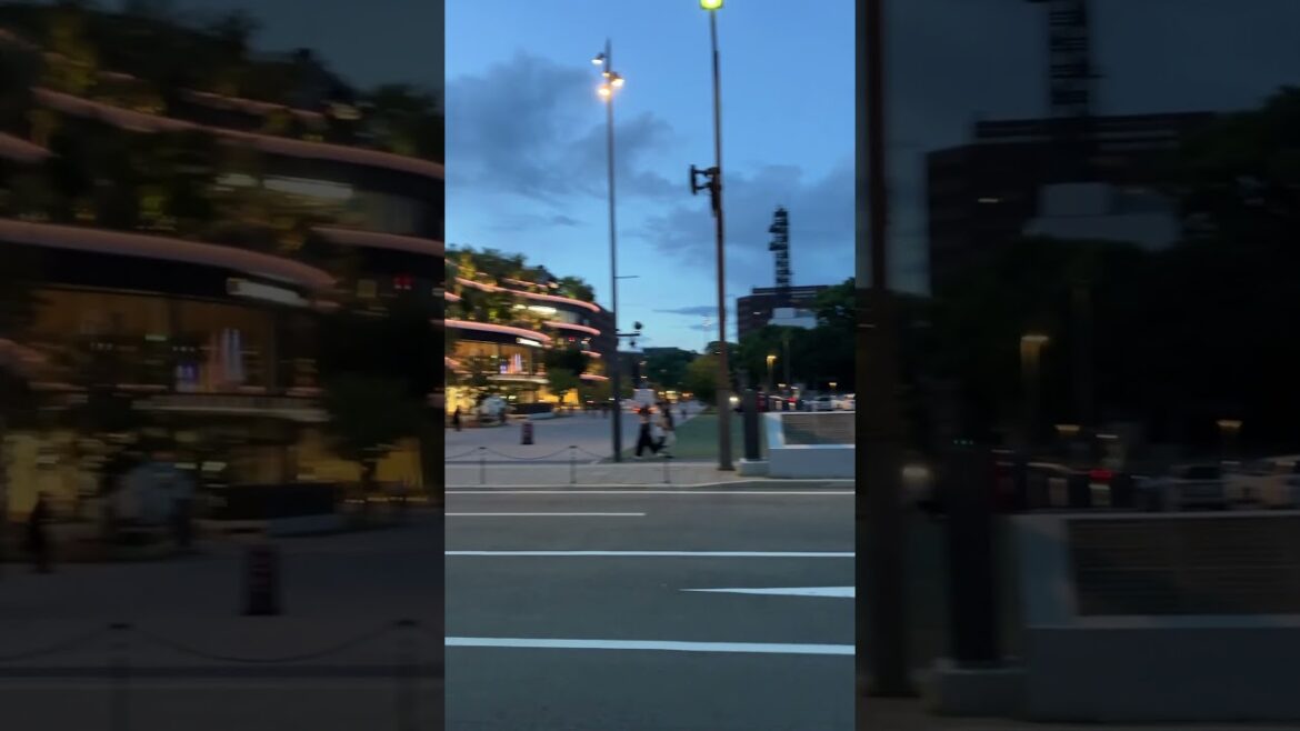 辛町公園の景色 【熊本】