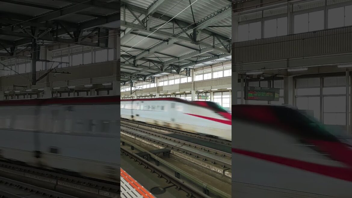 #300km #東北新幹線 #兩節 #東京駅 #秋田駅 #白石蔵王駅 #Shiroishizaō #tokyo #akita #日本一隅 #somewhereinjapan