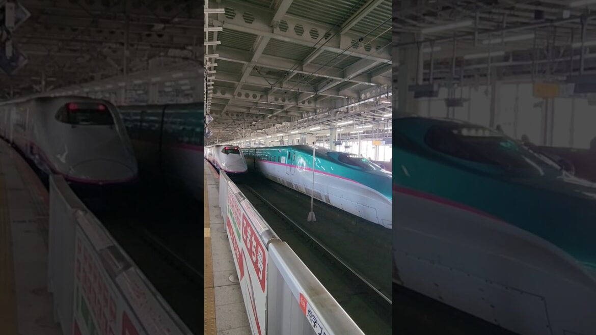 신칸센타고 센다이에서 도쿄로