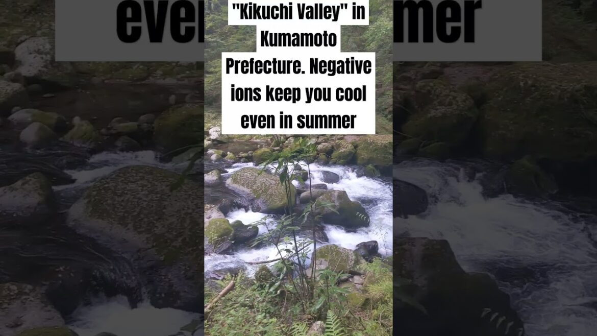 "Kikuchi Valley" in Kumamoto Prefecture. Negative ions keep you cool even in summer