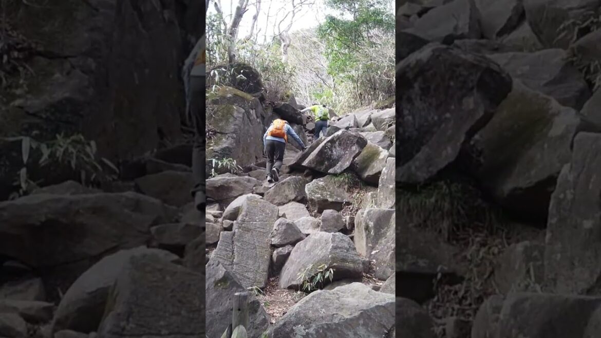 An easy Mount Trek #traveljapan #nature #mountain An easy Mount Trek #traveljapan #nature #mountain