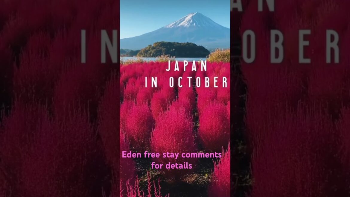 Japan in October Travel Japan Earn Millions #shorts #shortsfeed #japan #travel Japan in October Travel Japan Earn Millions #shorts #shortsfeed #japan #travel