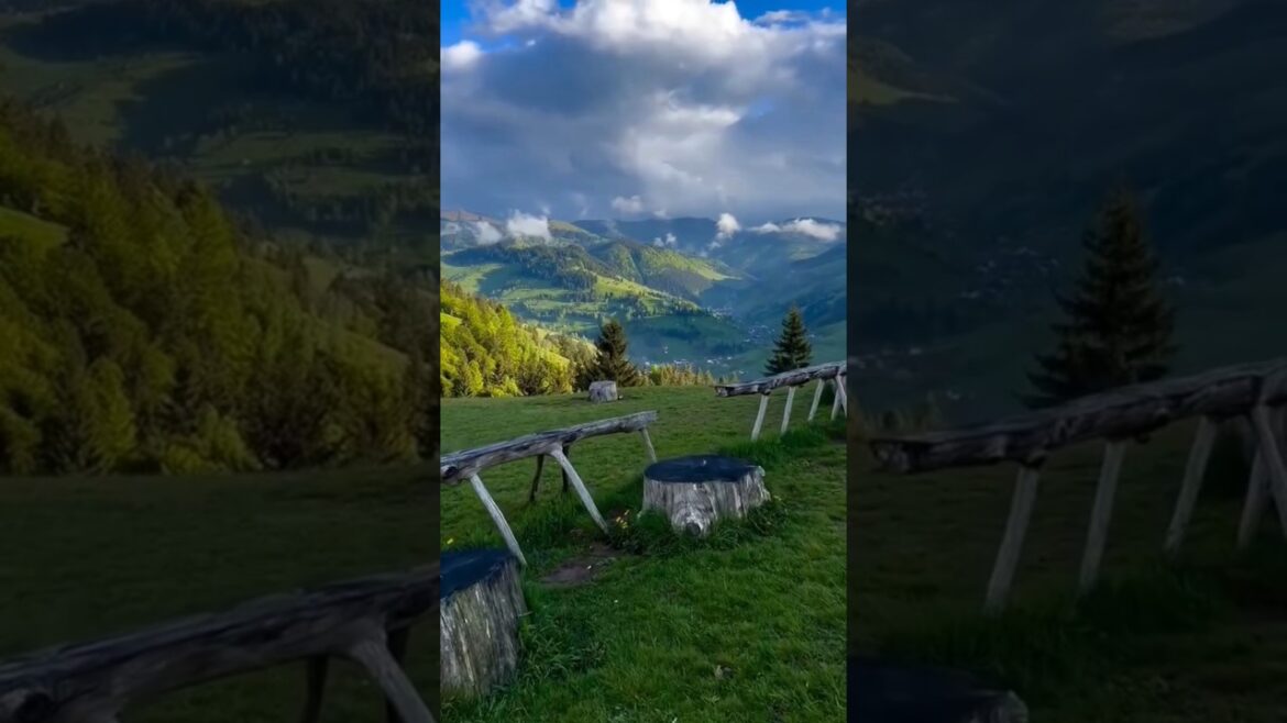 Never Before Seen TRAVEL Tips #nature πΏππΏ#natural #shorts Never Before Seen TRAVEL Tips #nature πΏππΏ#natural #shorts