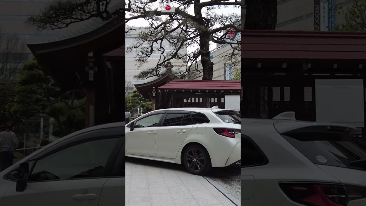 🇯🇵 Experience #Fukuoka in #Japan with us! #Shorts