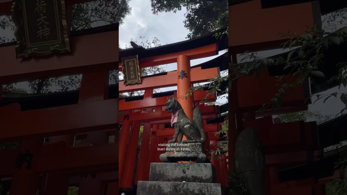 1,000 torii gates in Kyoto ⛩️🪭 #japan #japantraveldiary #travel #japantravel