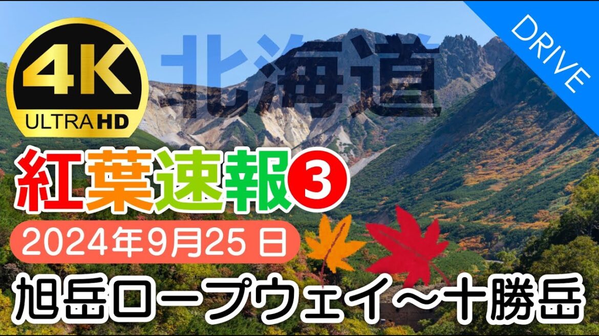 【北海道 紅葉ドライブ❸】速報!旭岳ロープウェイから十勝岳温泉2024年|美瑛・富良野周辺の色づき状況を随時ご紹介 【北海道 紅葉ドライブ❸】速報!旭岳ロープウェイから十勝岳温泉2024年|美瑛・富良野周辺の色づき状況を随時ご紹介