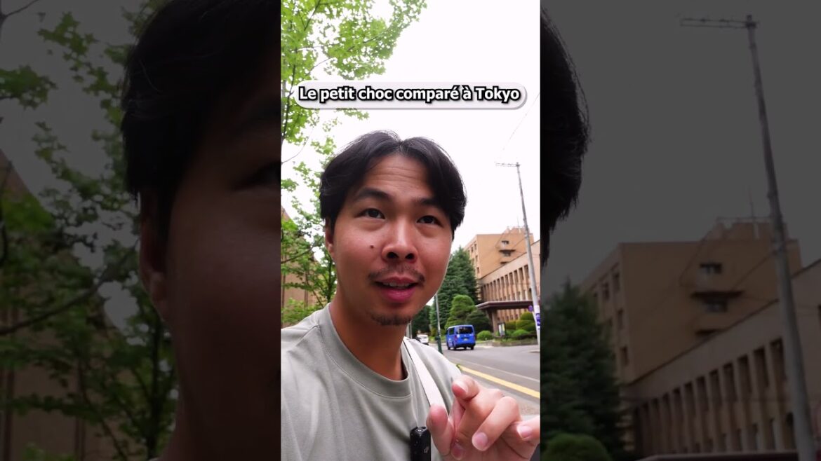 Rien avoir avec Tokyo : La verdure à Sendai