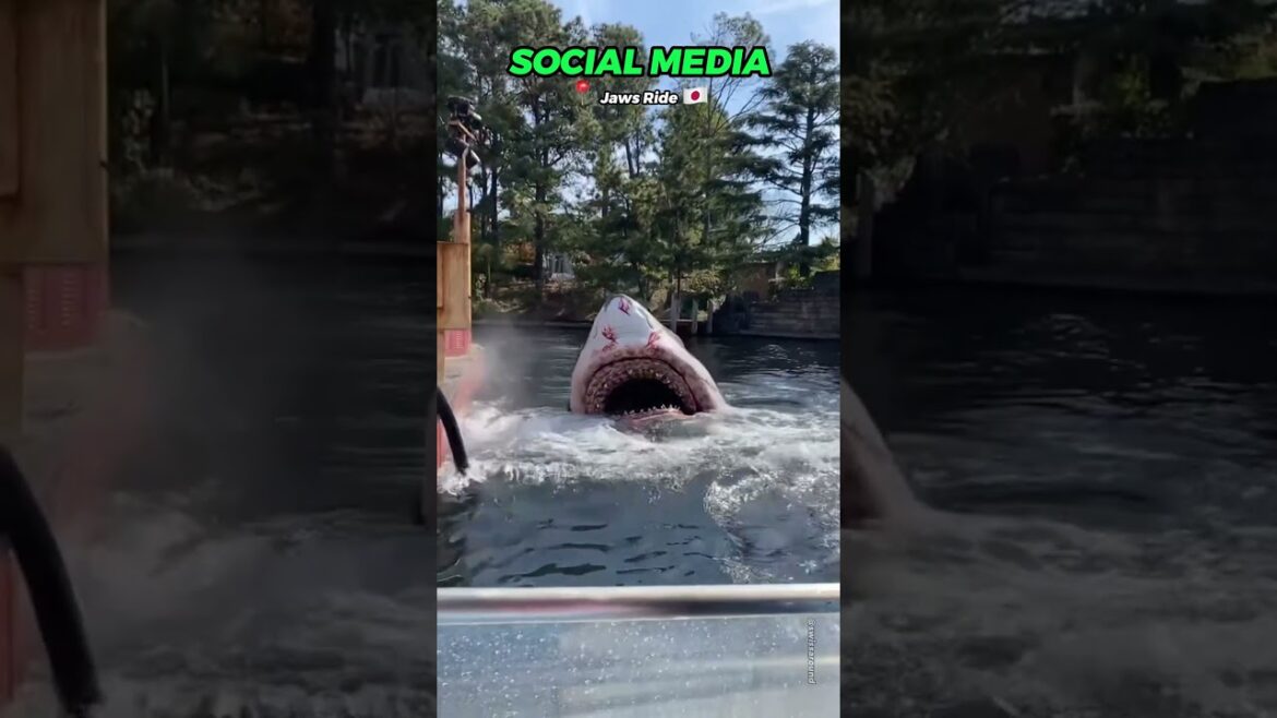 I would never dare on the zip line🤯😭 #shorts I would never dare on the zip line🤯😭 #shorts