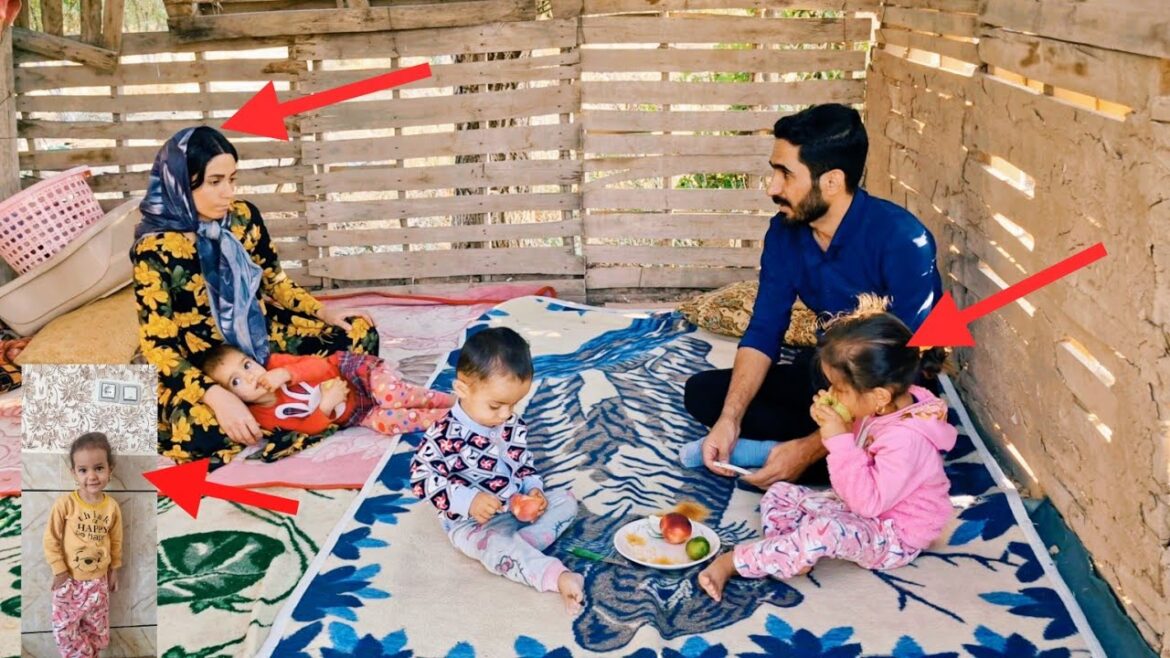 Flames of Hope and Love:❤️ A Story of Mr. Vakil’s Unfinished Efforts to Return Elnaz to the Family "Flames of Hope and Love:❤️ A Story of Mr. Vakil's Unfinished Efforts to Return Elnaz to the Family"