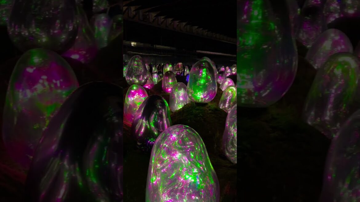 Immersive Art Experience at TeamLab Planets Tokyo 🌸✨ #Tokyo #Art #TeamLab