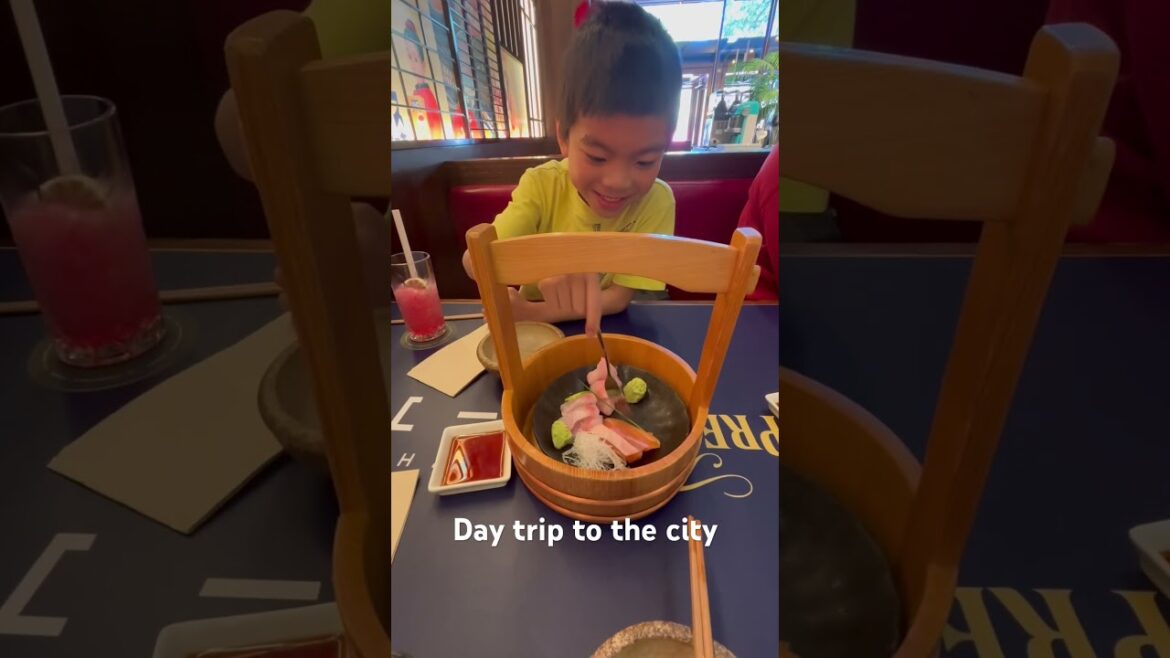 Day trip to the city