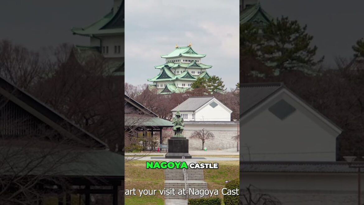 Discover Nagoya: Castles, Culture, and Nightlife Awaits!