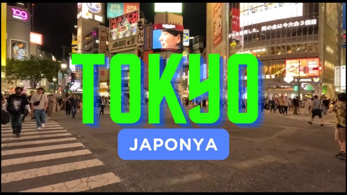 Tokyo'da ilk ik gün,  Aktarmalı uçuş, yemekler ve tüm fiyatlar