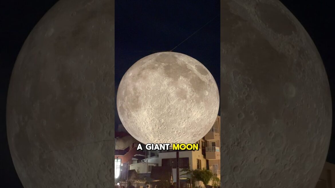 Follow us to know more about Japan!! #tokyoguide #tokyotour #abroadinjapan #tokyo2024 #tokyotravel