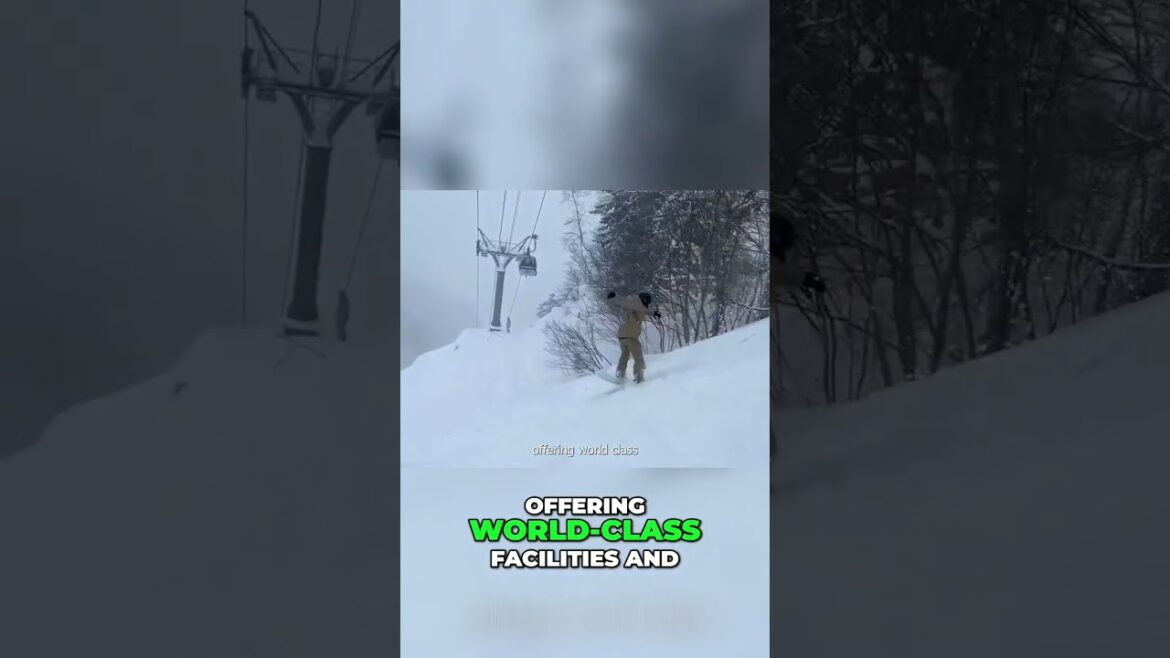 Explore Hokkaido: Japan’s Ultimate Winter and Summer Adventure! Explore Hokkaido: Japan's Ultimate Winter and Summer Adventure!