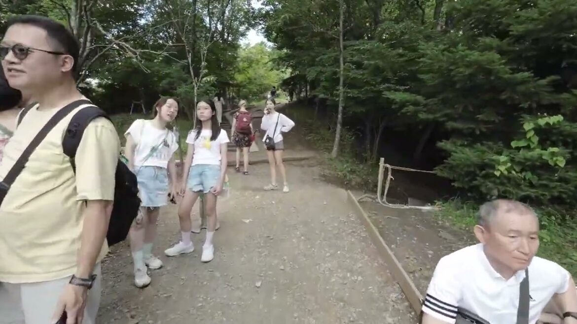 Kawaguchiko (Tenjoyama Koen tour)