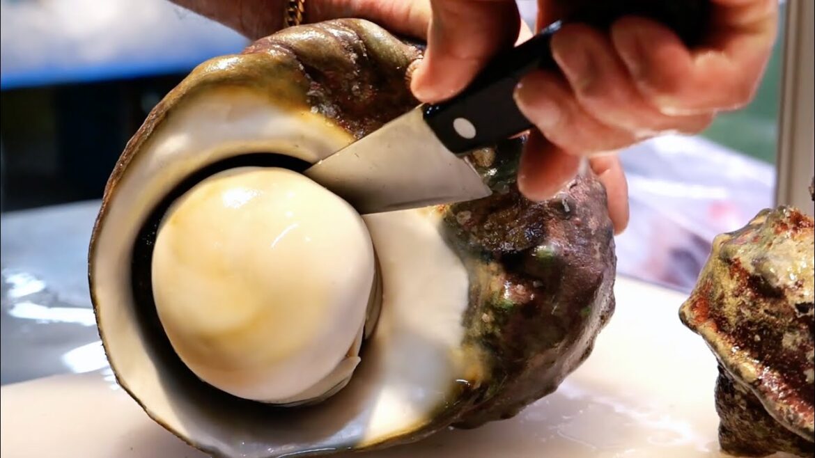 Japanese Street Food - GIANT ALIEN SNAILS Sashimi Okinawa Japan