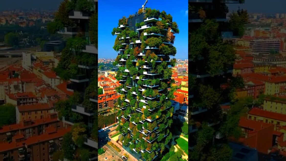 #explore #travel #adventure #japan #turkey #Dubai #fyp #explore #travel #adventure #japan #turkey #Dubai #fyp