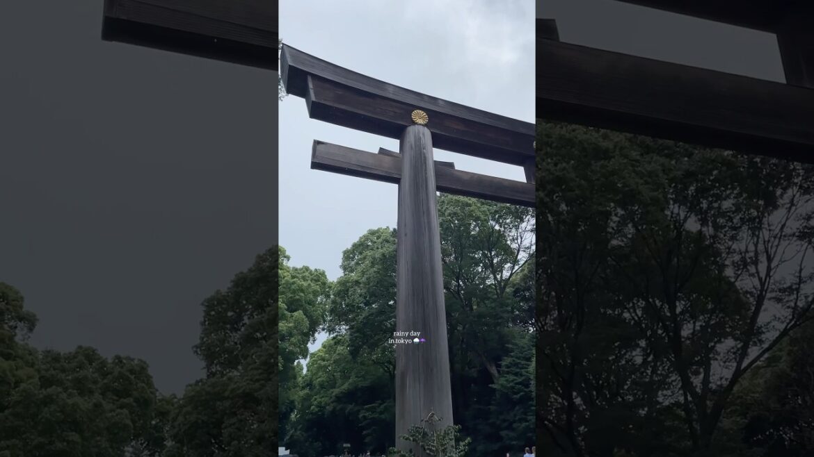 Rainy days in Tokyo 🌧️☂️ #japan #lifeinjapan #tokyo #rainyday #travel