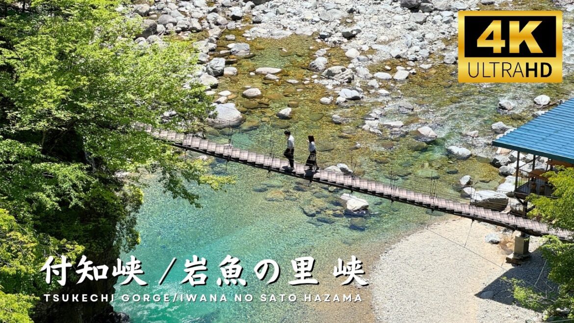 Summer in the Japanese countryside🌿 Perfect day trip in Gifu|Iwana no Sato Hazama & Tsukechi Gorge Summer in the Japanese countryside🌿 Perfect day trip in Gifu|Iwana no Sato Hazama & Tsukechi Gorge