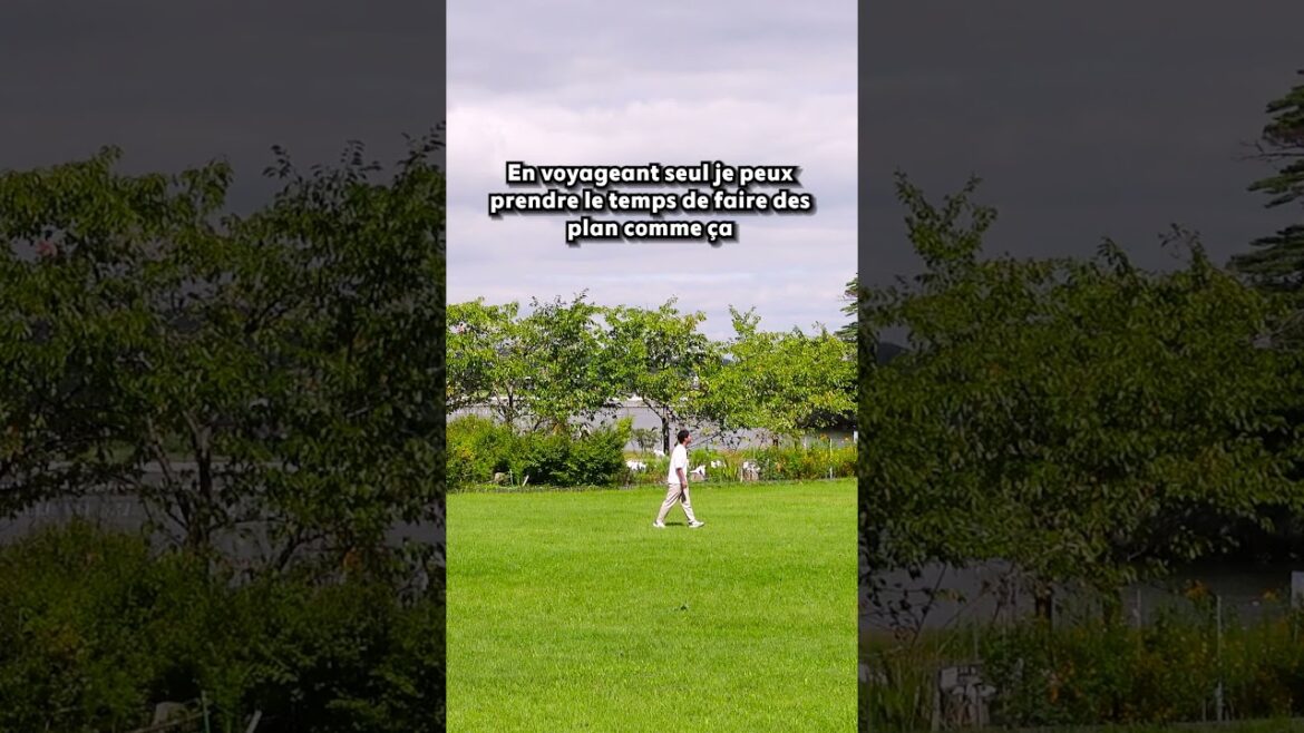 INCROYABLE cette mini île !  #japon #travel #voyage